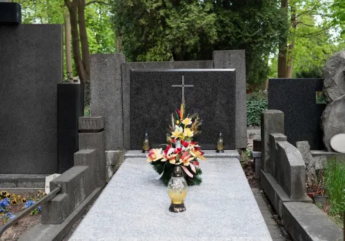 Nie kupuj takich kwiatów na cmentarz na Wszystkich Świętych. Pierwszy mróz je zniszczy