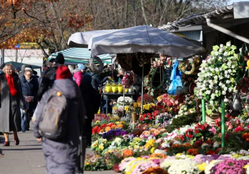 Nawet 500 zł mandatu za stroik na Wszystkich Świętych. Trwają kontrole leśników
