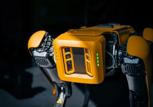 Firma z San Francisco w USA szuka ludzi do spacerów z robotami-psami. Płaci 20 dolarów za godzinę