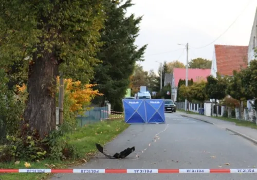 Najechał na leżącego człowieka. Myślał, że potrącił zwierzę