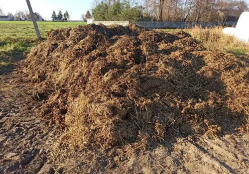 Rolnik nie ma ani jednej krowy, a i tak może potrzebować płyty obornikowej. Przepisy zaskakują