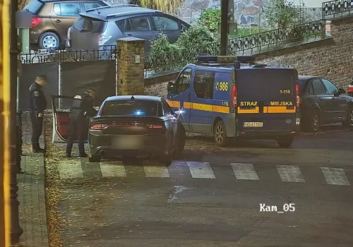 Zaparkował na pasach i sprawiał wrażenie śpiącego. W aucie skrywał broń gazową, kastet i... biały proszek