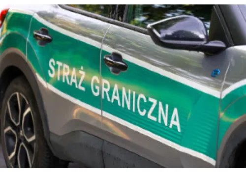 Grzybiarze z Rumunii zbierają grzyby na masową skalę. Stanowcza reakcja służb