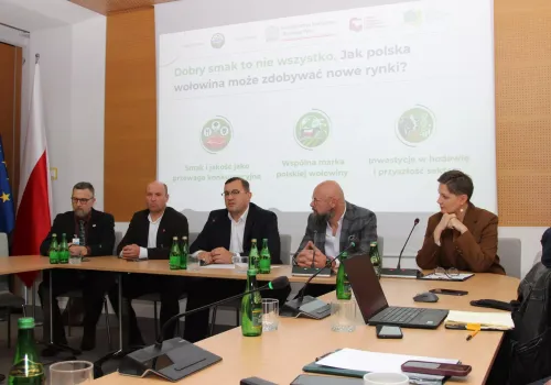 Polska wołowina może podbić świat. Jest plan, jak to zrobić