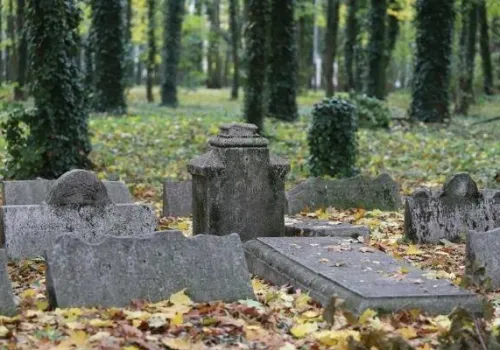 Poznaj najbardziej mroczny park w mieście. Ciemno, zimno i strasznie. Bluszcz i groby ZDJĘCIA