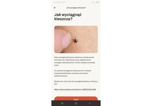 PRAGMATICK 202609.15.10
