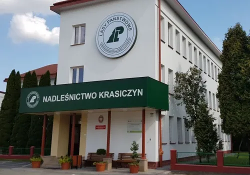 Nawet 20 tys. zł miesięcznie. Lasy Państwowe szukają pracownika na Podkarpaciu