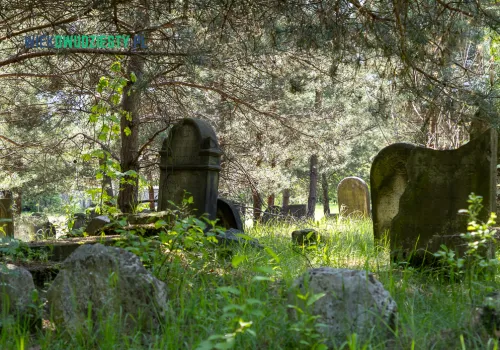 Cmentarz żydowski w Żarkach – Kirkut na Kierkowie