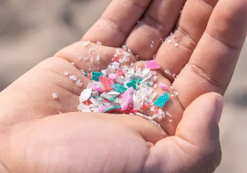 Mikroplastik w twoim ciele. Naukowcy biją na alarm - co już wiemy i jak się chronić?