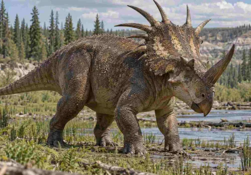 Styrakozaur od A do Z. Długi róg na nosie i kolce, które zaskoczyły paleontologów