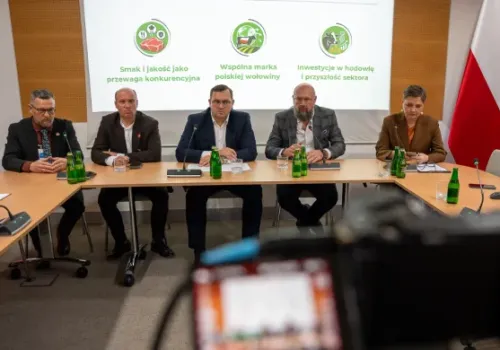 Większe zyski dla hodowców bydła. Osiem zakładów i rząd łączą siły