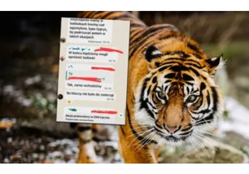 Afera ws. zoo w Łącznej. Przyszła pora na rozliczenia? Są zawiadomienia ws. prokuratorów
