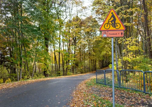 Kamery policzą rowerzystów