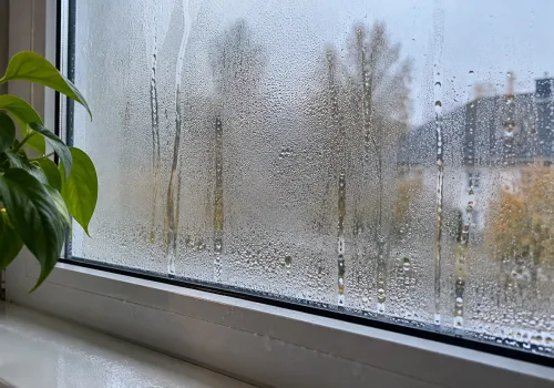 Rano widzisz wodę na oknach? Nie ignoruj tego objawu. Czasem zapowiada większy problem