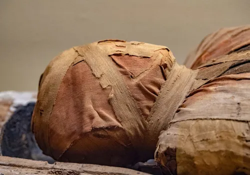 Dawny lek zeskrobany z egipskiej mumii wciąż działa. W laboratorium chroni komórki przed wirusem grypy