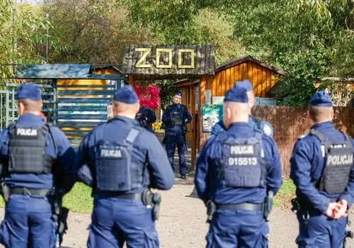 Zbiórka ZOO Łączna – gdzie wpłacić pieniądze? Link do zbiórki. O co chodzi z ZOO Łączna?