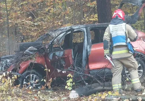 Ford uderzył w drzewo. Kierowca nietrzeźwy