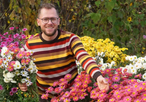 Boskie chryzantemy. Gatunki i odmiany do polskich ogrodów