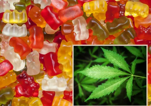 THC w żelkach! Produkt firmy z Kalisza znika ze sprzedaży 𝐒𝐀𝐍𝐄𝐏𝐈𝐃 𝐎𝐒𝐓𝐑𝐙𝐄𝐆𝐀