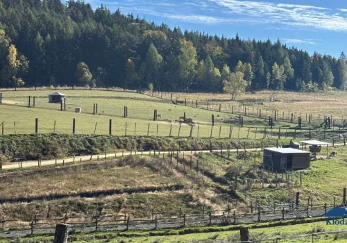 ZOO Łączna zbiórka – gdzie wpłacić? O co chodzi ze sprawą zoo i DIOZ?