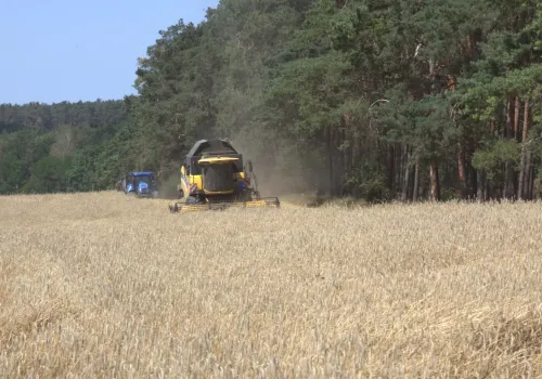 Dzierżawa ziemi a KRUS. Kiedy umowa wpływa na ubezpieczenie i świadczenia?