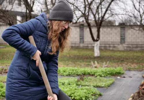 Pachną mocniej niż piwonie. Wykop bulwy przed zimą, by ich nie stracić