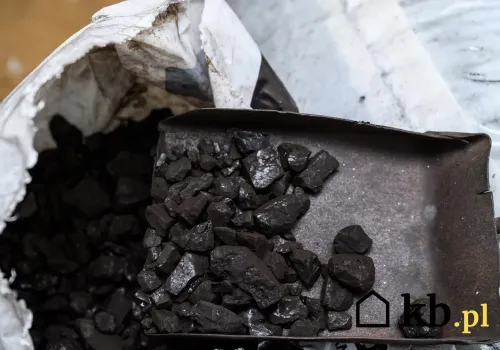 Wsypują to do pieca zamiast węgla. Cena wydaje się atrakcyjna, są jednak pewne ALE