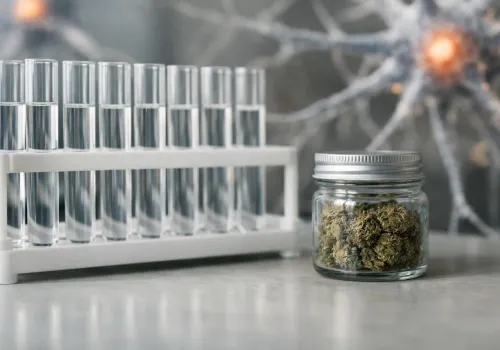 CBD a neurotoksyczność metamfetaminy: nowy przegląd opisuje pięć mechanizmów ochrony neuronów