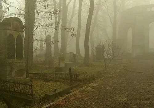Najpiękniejsze cmentarze w województwie śląskim. Tutaj warto zajrzeć we Wszystkich Świętych. Cieszyn, Katowice, a może Ruda Śląska?