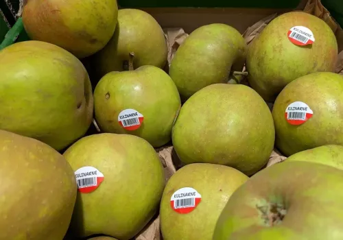 Boskoop coraz droższy. Przed świętami może dojść do ciekawej rozgrywki