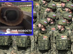 Ukraińcy chowają miny w drzewach. Rosjanie zaskoczeni