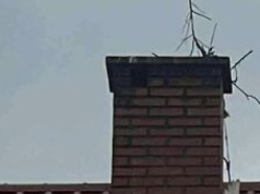 Strażacy uratowali boćka