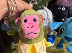 Szympansini bananini królową straganów. 