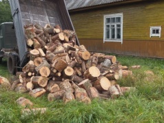 Przywłaszczył pocięte drewno. Sąd Najwyższy: to nie kradzież drzewa