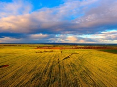 Na sprzedaż farma o areale 27 tysięcy hektarów. Grunty, maszyny i pełne magazyny