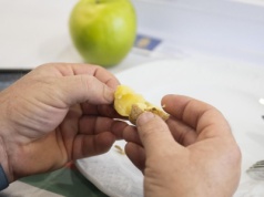 Odmiana Geronimo najlepszym ziemniakiem Gran Canarii 2025
