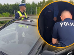 Policja zatrzymała nielegalnych migrantów. Sześciu w jednym samochodzie