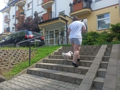 Spółdzielnia pryska, psy chorują. SM Nałkowskich uparła się na Roundup