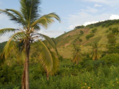 Pierwsi Polacy na Haiti. Od francuskich legionów do haitańskiego tronu