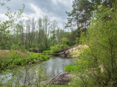 Bolimowski Park Krajobrazowy atrakcje. Co zobaczyć w Puszczy Bolimowskiej?