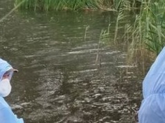 Trucizna w Uherce: Ścieki, śnięte ryby i śledztwo prokuratury