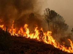 Ewakuacja hoteli w Hiszpanii. Wysokie temperatury doprowadziły do pożarów