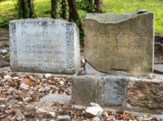 Ocalone od zapomnienia: Historia cmentarza żydowskiego w Ryczywole