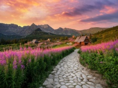 Hala Gąsienicowa tonie w różu. Dla tego momentu w Tatry zjeżdżają się tłumy