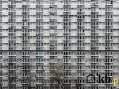 Deweloperzy mogą się schować z apartamentowcami. Wielka płyta wraca do łask!