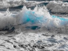 Tysiące nowych gatunków. Co skrywa się  na dnie oceanu?