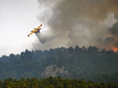 Płonie winiarski region we Francji. W dzień spłonęło tyle, co przez rok