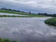 Rolnicy znów bez odszkodowań? „Zboże jest, może coś się zbierze” - skandal na Żuławach i Powiślu