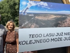 Sprzeciwiają się wycince lasu. Złożyli prawie 900 uwag i zebrali ponad 2 tysiące podpisów