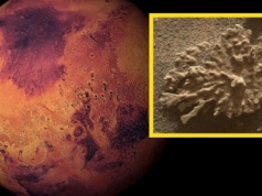 Dowód istnienia wody na Marsie. Curiosity znalazł kamienny koralowiec